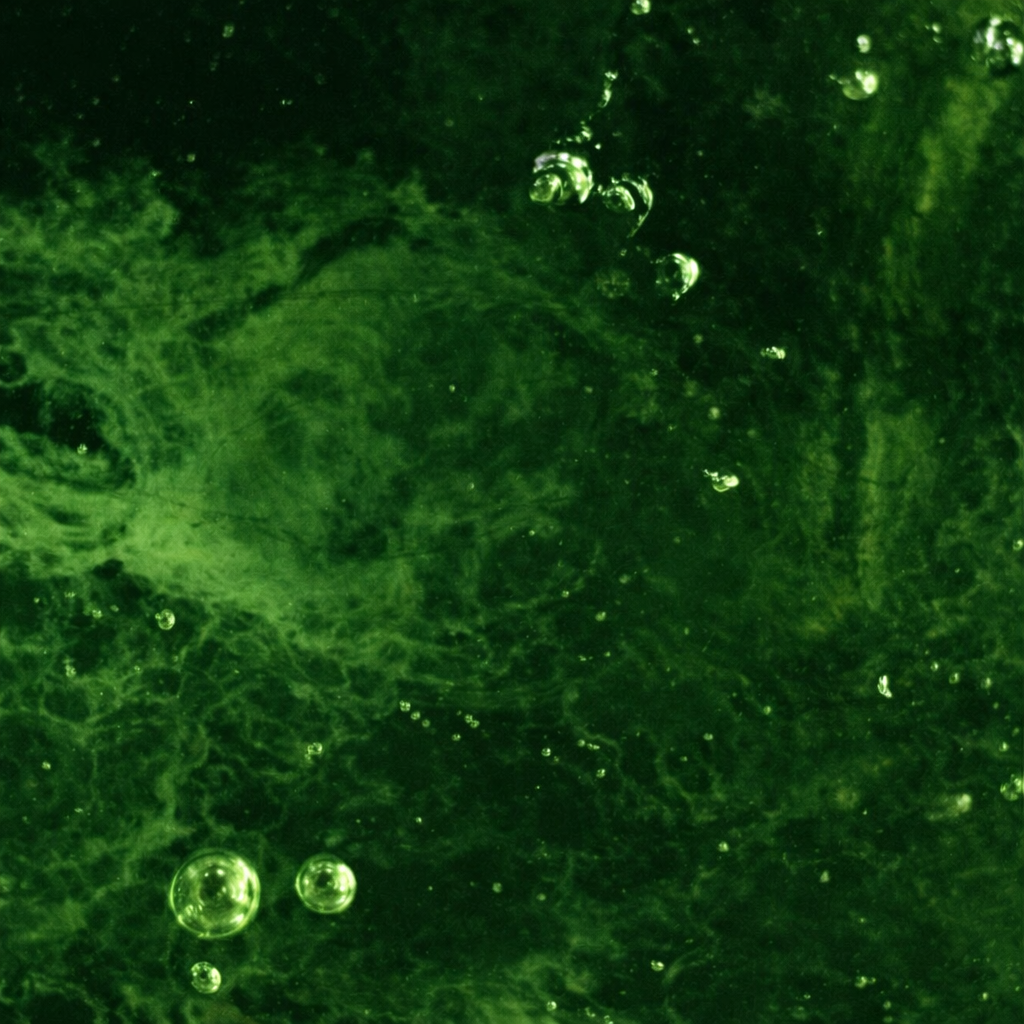 CREMA REPARADORA DE BARRERA Barrier hydration 50 ml [비움 BIUM]