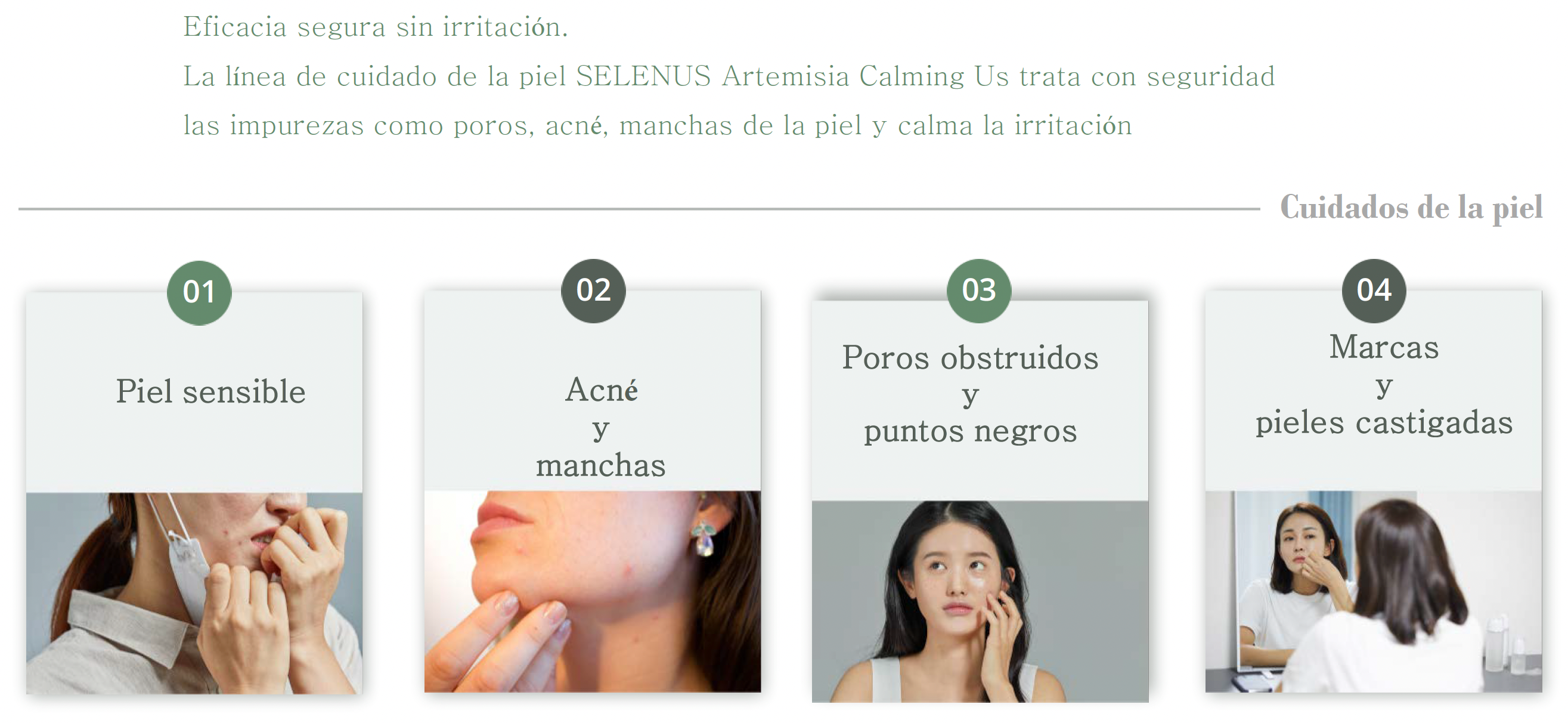 [SELENUS] Pack Artemisia Calming Us