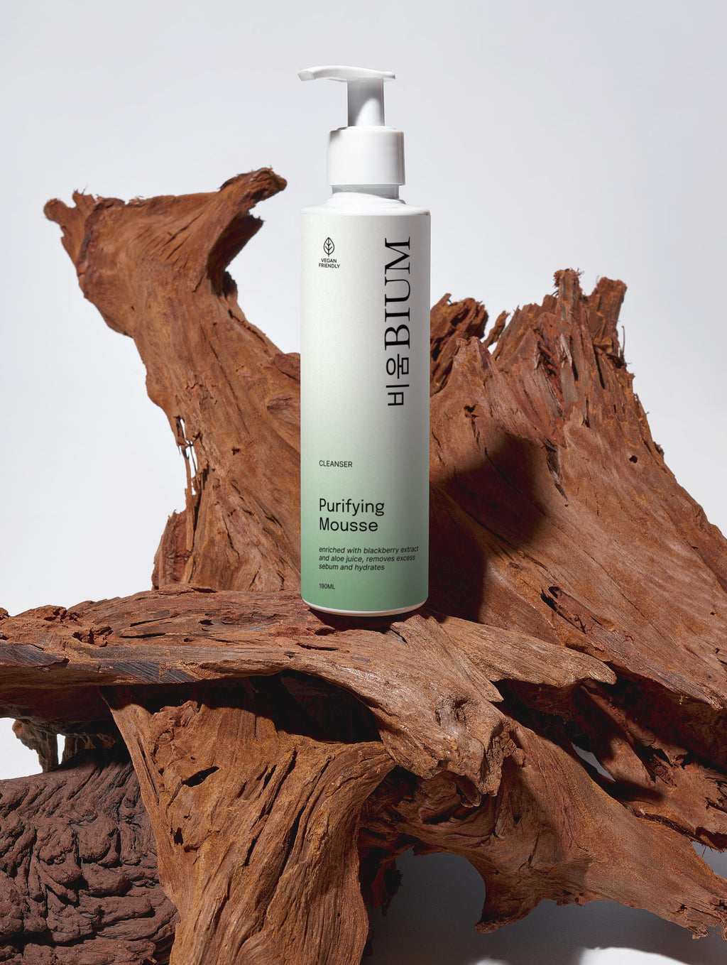 ESPUMA FACIAL PURIFICANTE Purifying Mousse [비움 BIUM]